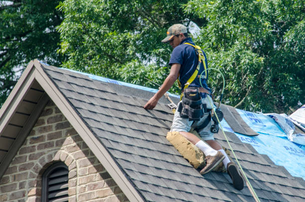 Best Metal Roofing Contractor  in Bainbridge Island, WA